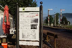 Blumberg Info