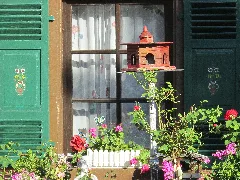 Blumen Fenster Panoramio