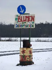 Blumen Zum Selberpflücken