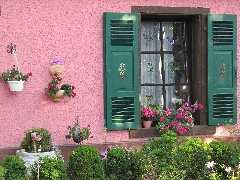 Blumenfenster Panoramio