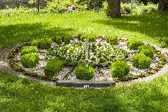 Blumenuhr Villingen