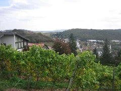 Bockenau Vom Felseneck Aus Panoramio
