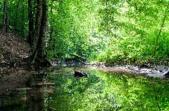 Bocksbachtal Zwischen Kleinsteinbach Und Mutschelbach