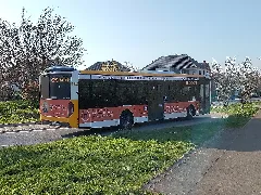 Bodenheim Bus Der Linie 69 Am Kreisel Der Wormser Straße
