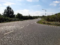 Bodenheim Ortsrandstraße (Richtung Gau Bischofsheim)