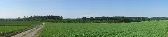 Bodenloser See Seewald Mai 2012