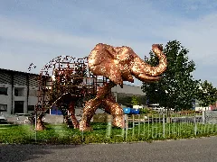Bodensee Elefant01