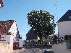 Böhlentw Oberdorf