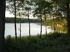 Böhmerheide Abendstimmung Am Weißen See