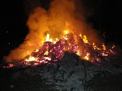 Böhmerheide Osterfeuer An Der Badestelle, 2010