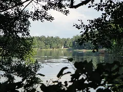 Böhmerheide Seeblick Mit Badestelle