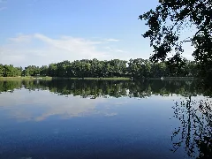 Böhmerheide Südostecke Des Weißen Sees