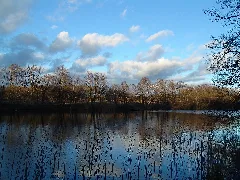 Böhmerheide Wintersonne Auf Dem Nordufer