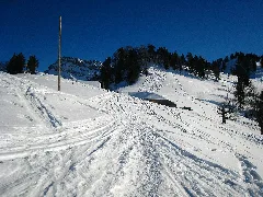 Bogmen Im Winter Panoramio