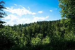 Bois De L'erberey