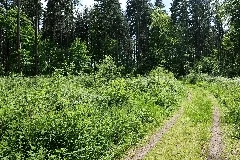 Boitzenburger Tiergarten Und Strom 2021 05 29 07
