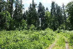 Boitzenburger Tiergarten Und Strom 2021 05 29 08