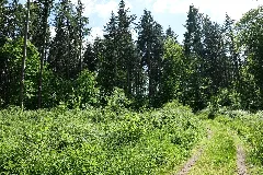 Boitzenburger Tiergarten Und Strom 2021 05 29 09