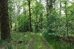 Boitzenburger Tiergarten Und Strom 2021 05 29 10