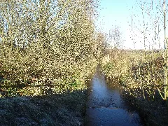 Bokeler Au