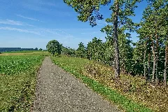 Bonndorf Im Schwarzwald Wellendingen Naturschutzgebiet Steppenheide Hardt Bild 3
