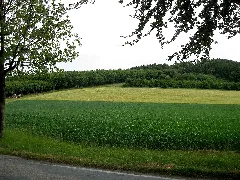 Bonstapel 2009 06 06
