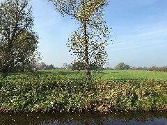 Borgbeekkanaal Bi Bredenwisch 04