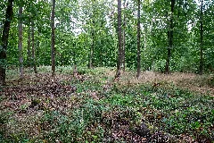 Borgentreich Natzungen 2022 09 15 Lsg Südlicher Kreis Höxter (Dsc 0158)