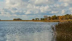 Born A Darss Bodstedter Bodden 03