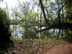 Borsdorfparkw