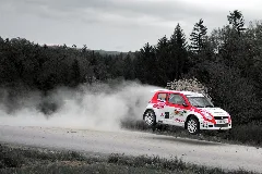 Bosch Rallye 2010 Pinggau (2)
