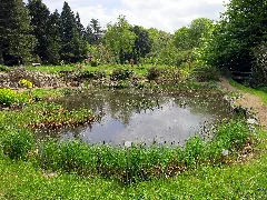Botanical Garden (1)