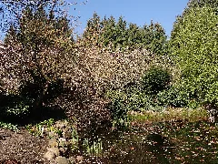 Botanischer Garten Christiansberg 2022 04 23 7116