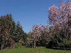 Botanischer Garten Christiansberg 2022 04 23 7163