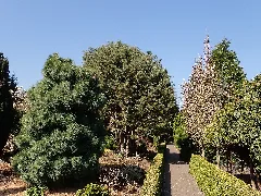 Botanischer Garten Christiansberg 2022 04 23 7175