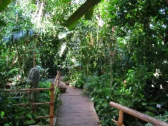 Botanischer Garten Der Universität Würzburg Img 6886