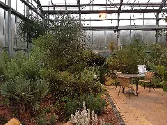 Botanischer Garten Düsseldorf Südafrika 4