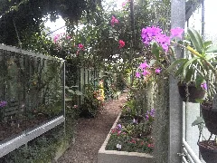 Botanischer Garten Würzburg Panoramio