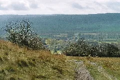 Bottendorfer Höhe 1