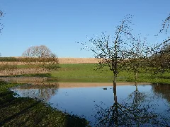 Brackenheim Feuchtgebiet Siehdichfür Überschwemmte Wiese