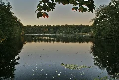 Bramfelder See Harfst