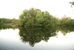 Bramfelder See Warder