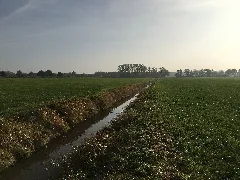 Brandmoorgraven 02