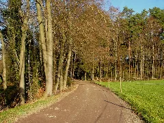 Brandsheide03