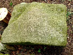 Bredenstein 01