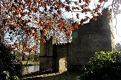 Breidings Garten 2015 (38) (16442864905)
