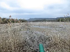 Breitenauer See 2021 04 18 004