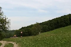 Breitenfurt Naturschutzgebiet 59 Dorotheerwald