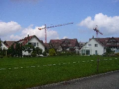 Breiteoastri