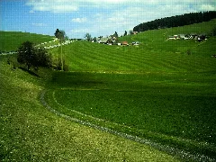 Breitnau Hochschwarzwald Panoramio (43)
